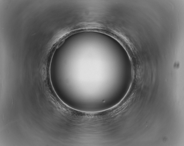 X0000096391407200801241250