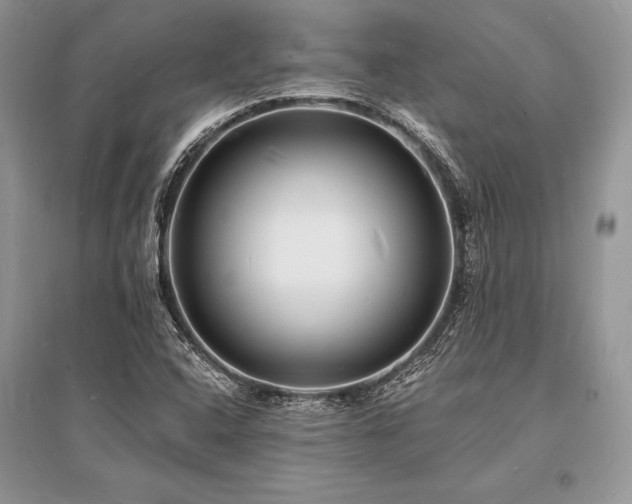 X0000096391408200801241250