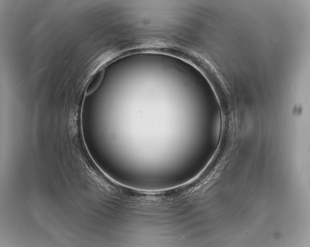 X0000096391409200801241250