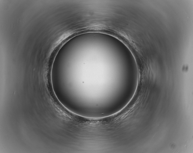 X0000096391410200801241250