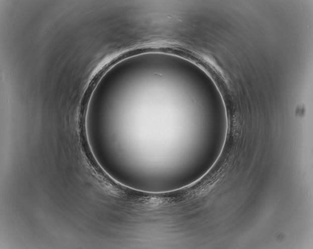 X0000096391412200801241250