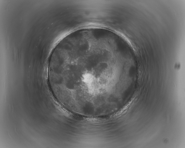 X0000096391413200801241250