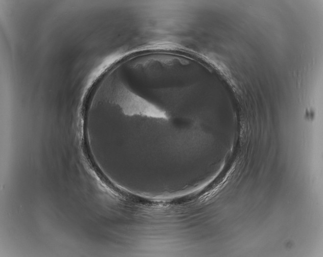 X0000096391414200801241250