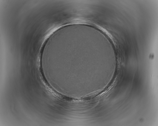 X0000096391415200801241250