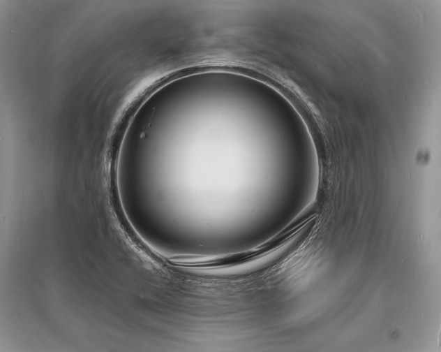 X0000096391416200801241250