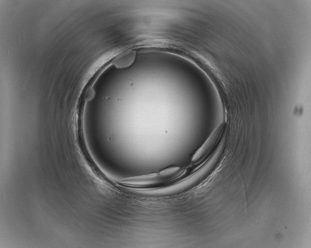 X0000096391418200801241250
