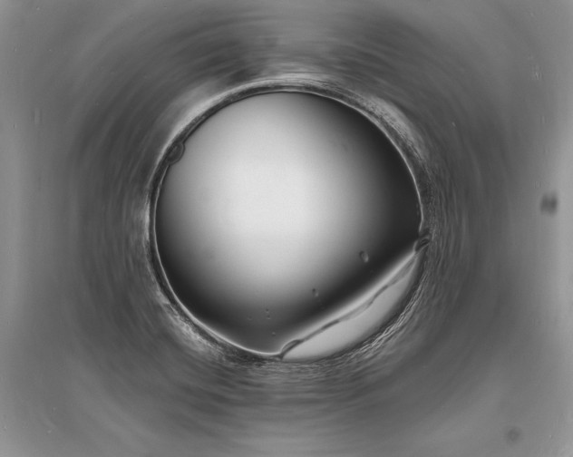 X0000096391420200801241250