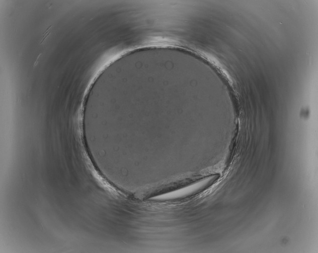 X0000096391421200801241250