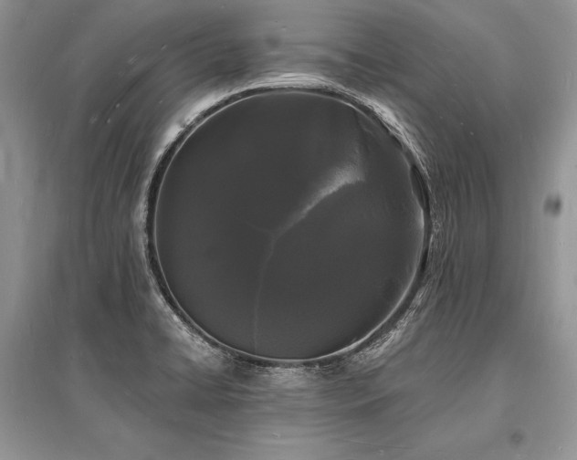 X0000096391422200801241250