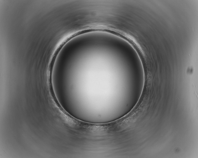 X0000096391424200801241250