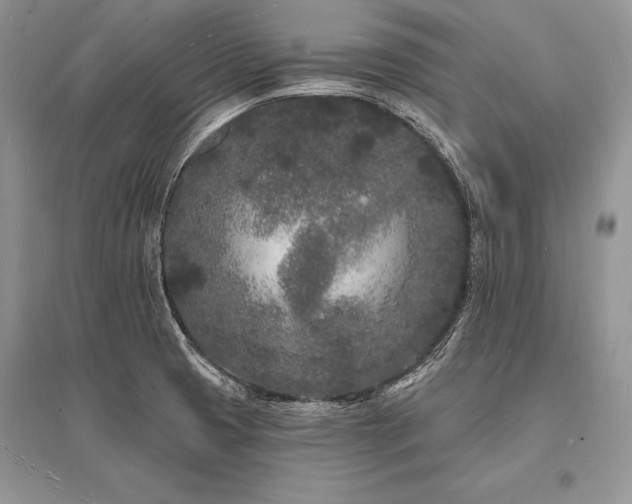 X0000096391425200801241250