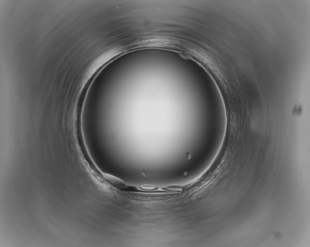 X0000096391426200801241250