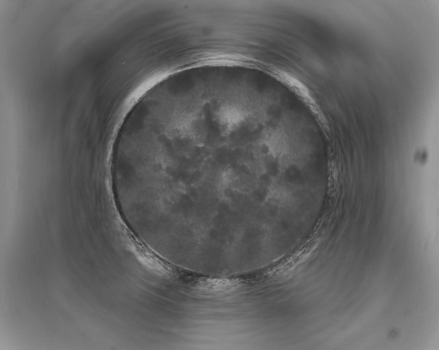 X0000096391427200801241250