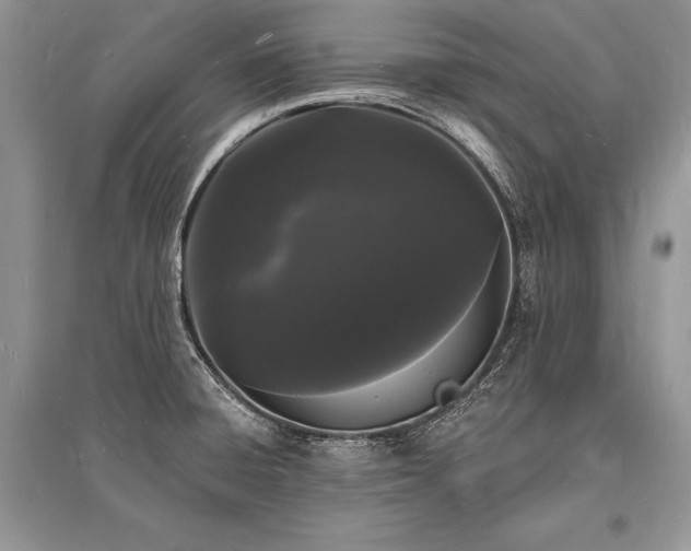 X0000096391428200801241250