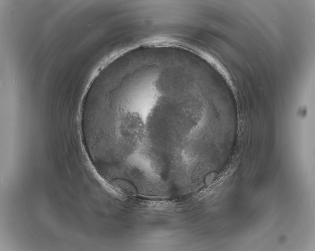 X0000096391429200801241250