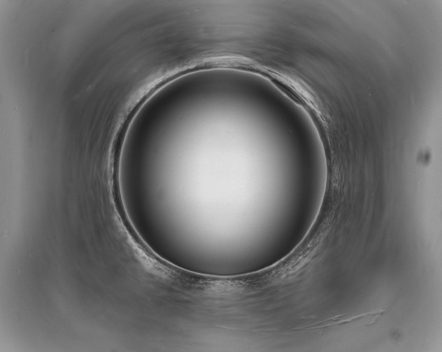 X0000096391430200801241250