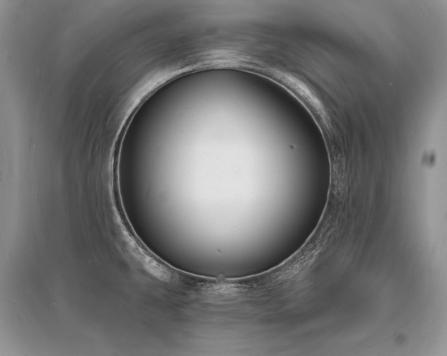 X0000096391431200801241250