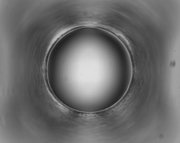 X0000096391432200801241250