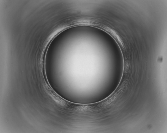 X0000096391435200801241250
