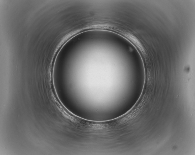 X0000096391436200801241250