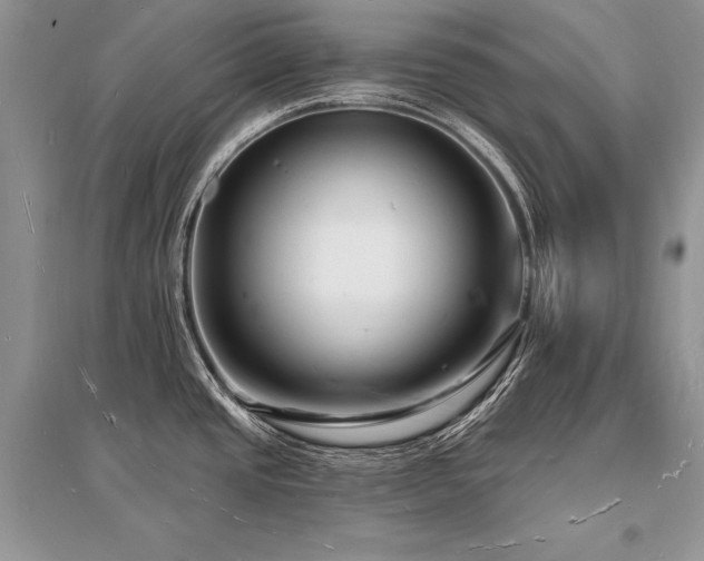 X0000096391437200801241250