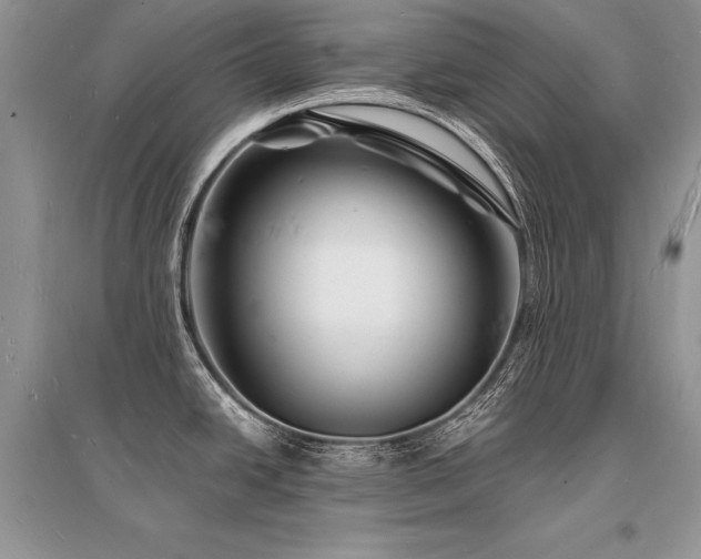 X0000096391438200801241250