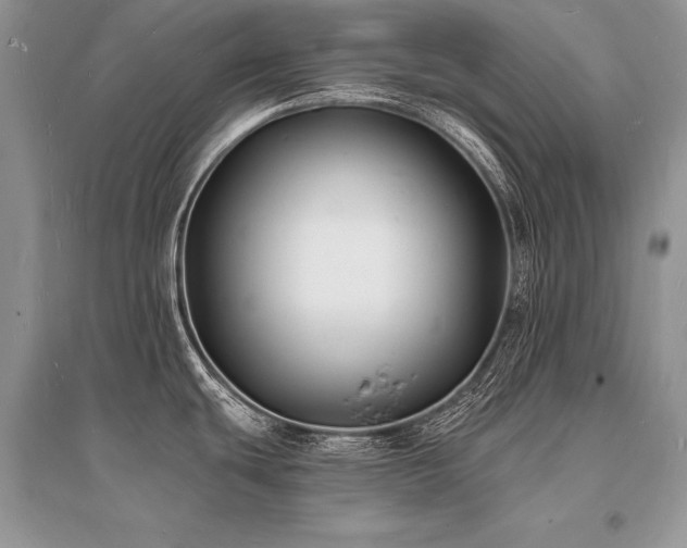 X0000096391439200801241250