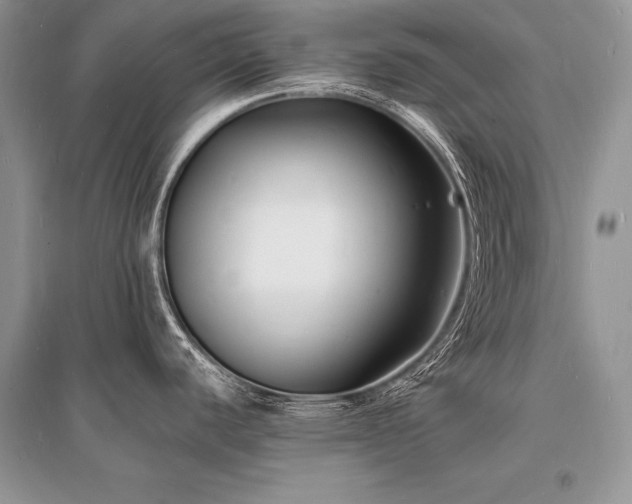 X0000096391440200801241250