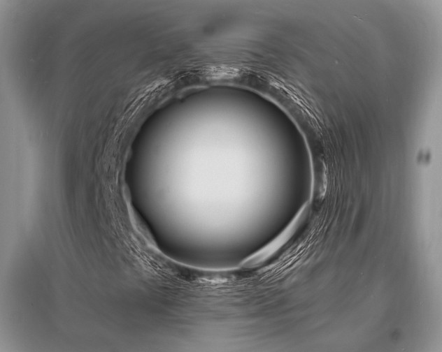 X0000096391441200801241250