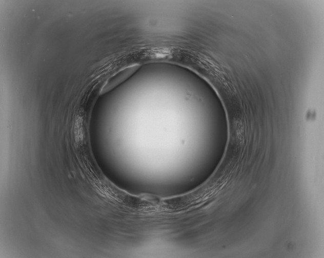 X0000096391442200801241250