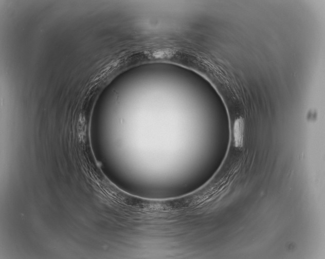 X0000096391443200801241250