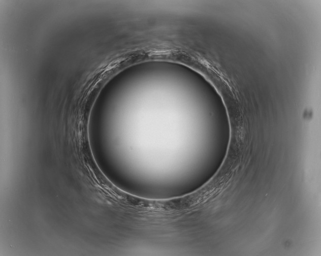 X0000096391445200801241250