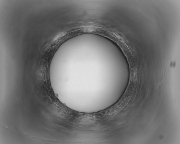 X0000096391446200801241250