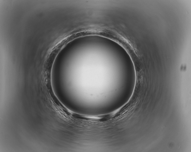 X0000096391448200801241250