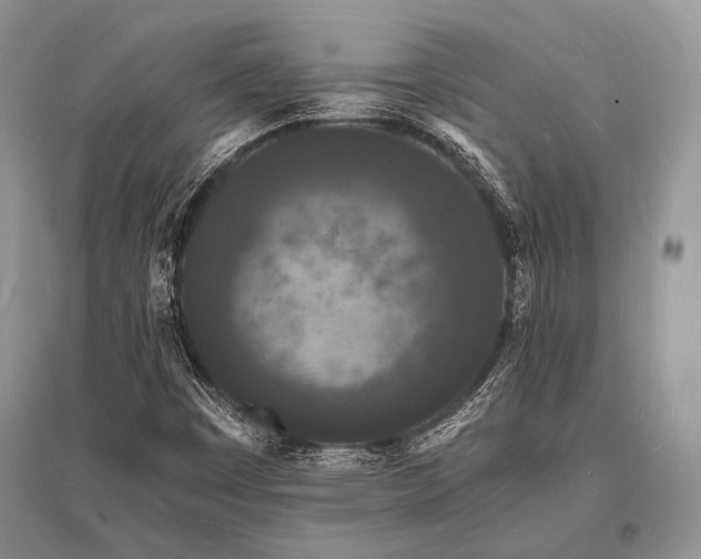 X0000096391449200801241250