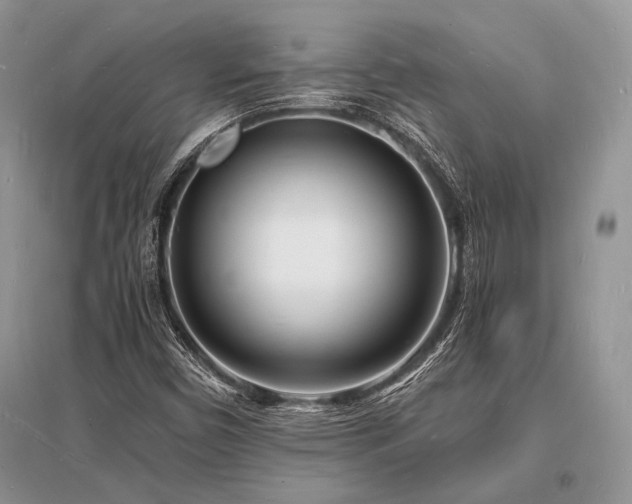 X0000096391450200801241250