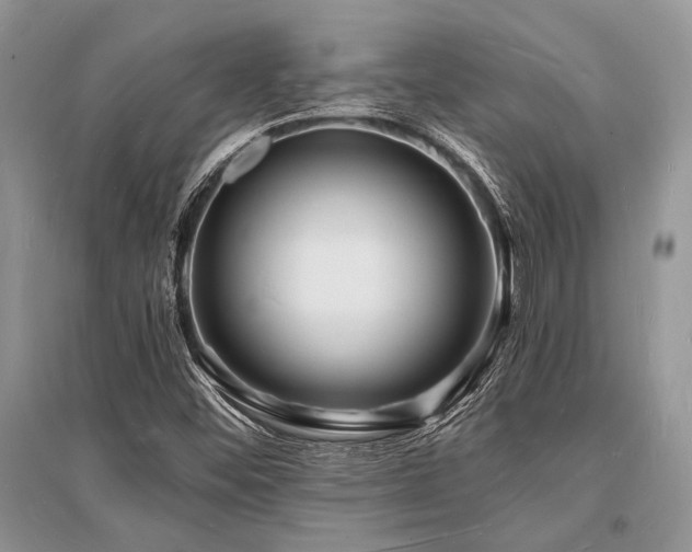 X0000096391452200801241250