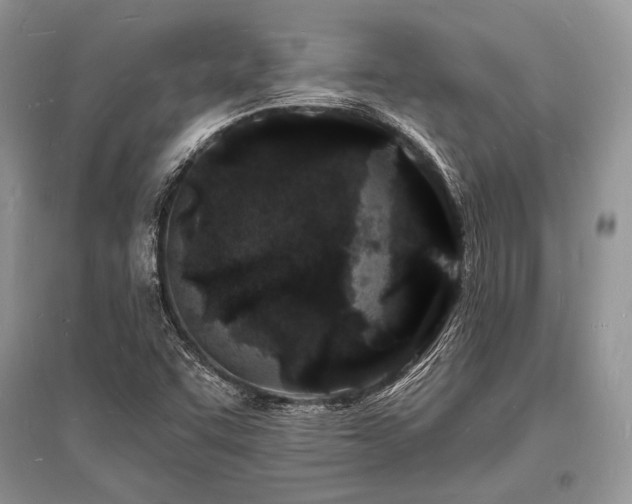 X0000096391455200801241249
