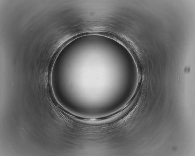 X0000096391457200801241249