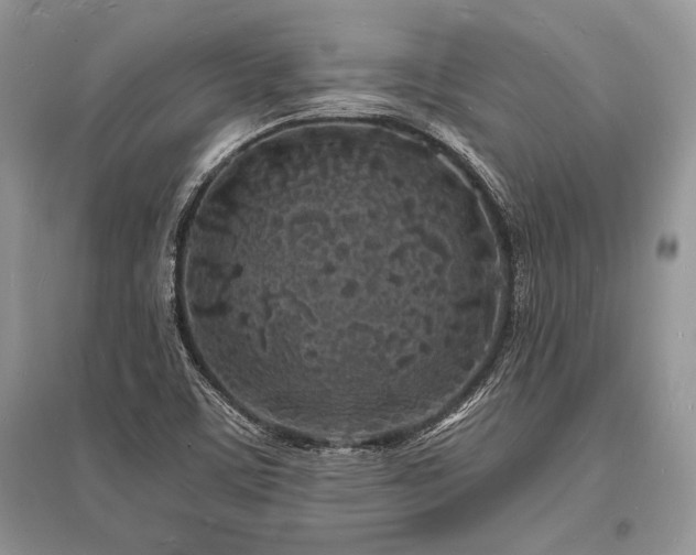 X0000096391459200801241249