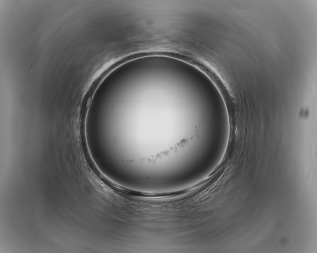 X0000096391460200801241249
