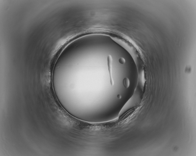 X0000096391461200801241249