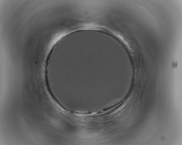 X0000096391463200801241249