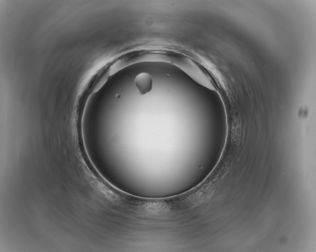 X0000096391464200801241249