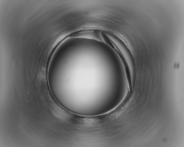 X0000096391465200801241249