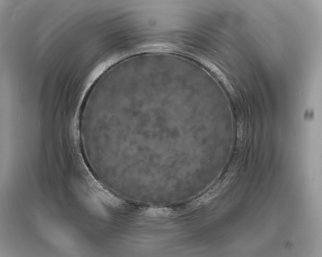 X0000096391466200801241249