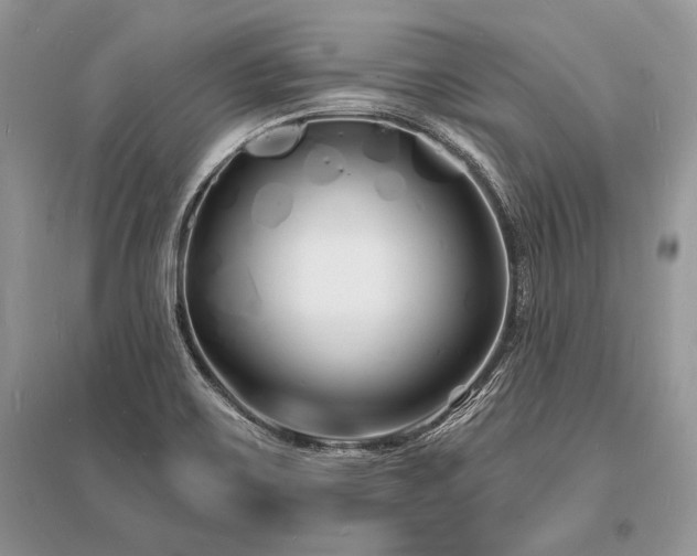 X0000096391467200801241249