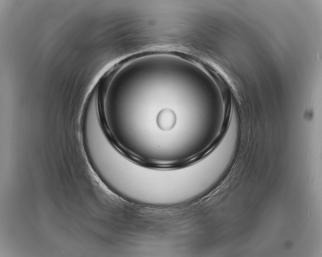 X0000096391468200801241249