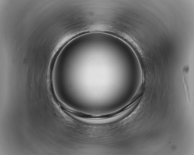 X0000096391469200801241249