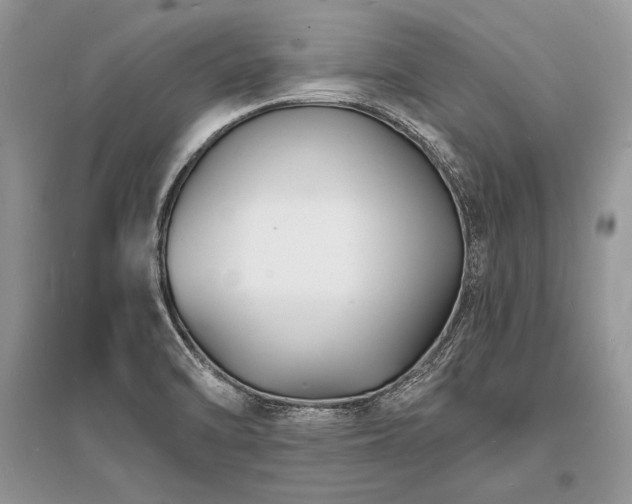 X0000096391470200801241249